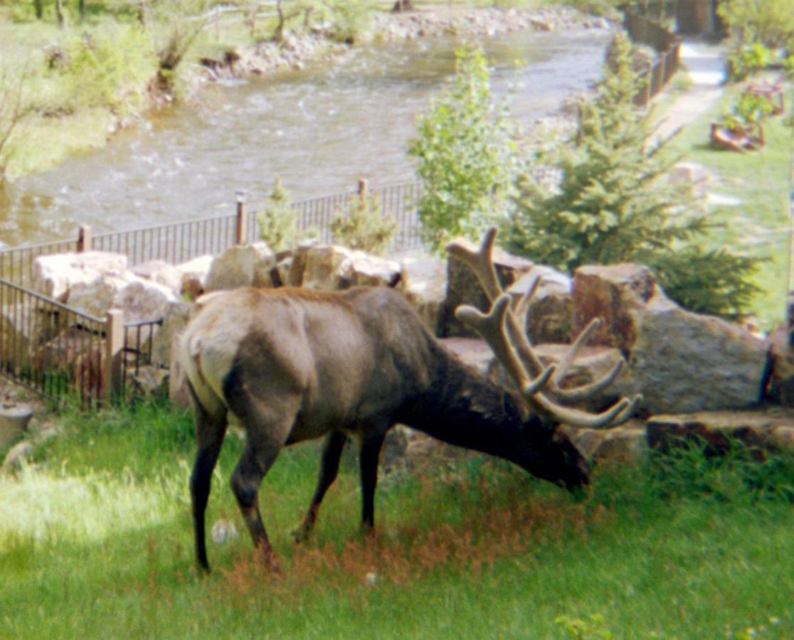 Skyline Cottages Estes Park Exteriör bild